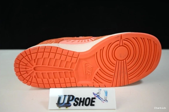 Solstice Winter NH (W) Dunk DO6723-800 Low Nike 0803